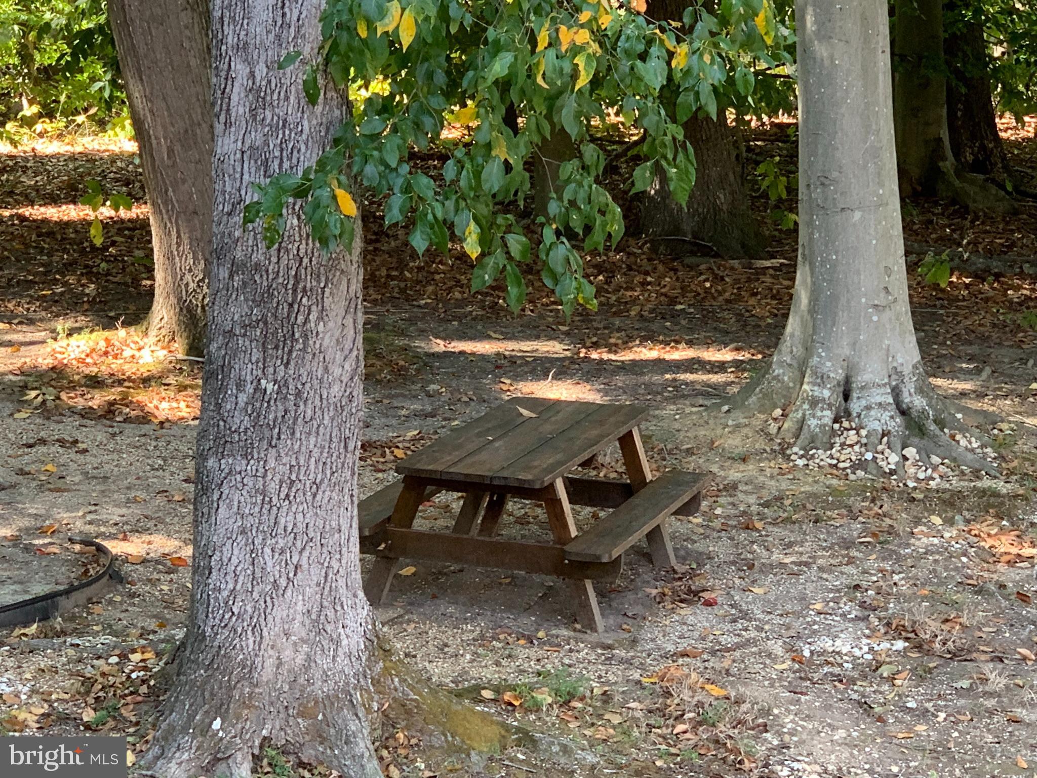 12805 DURNESS CIRCLE