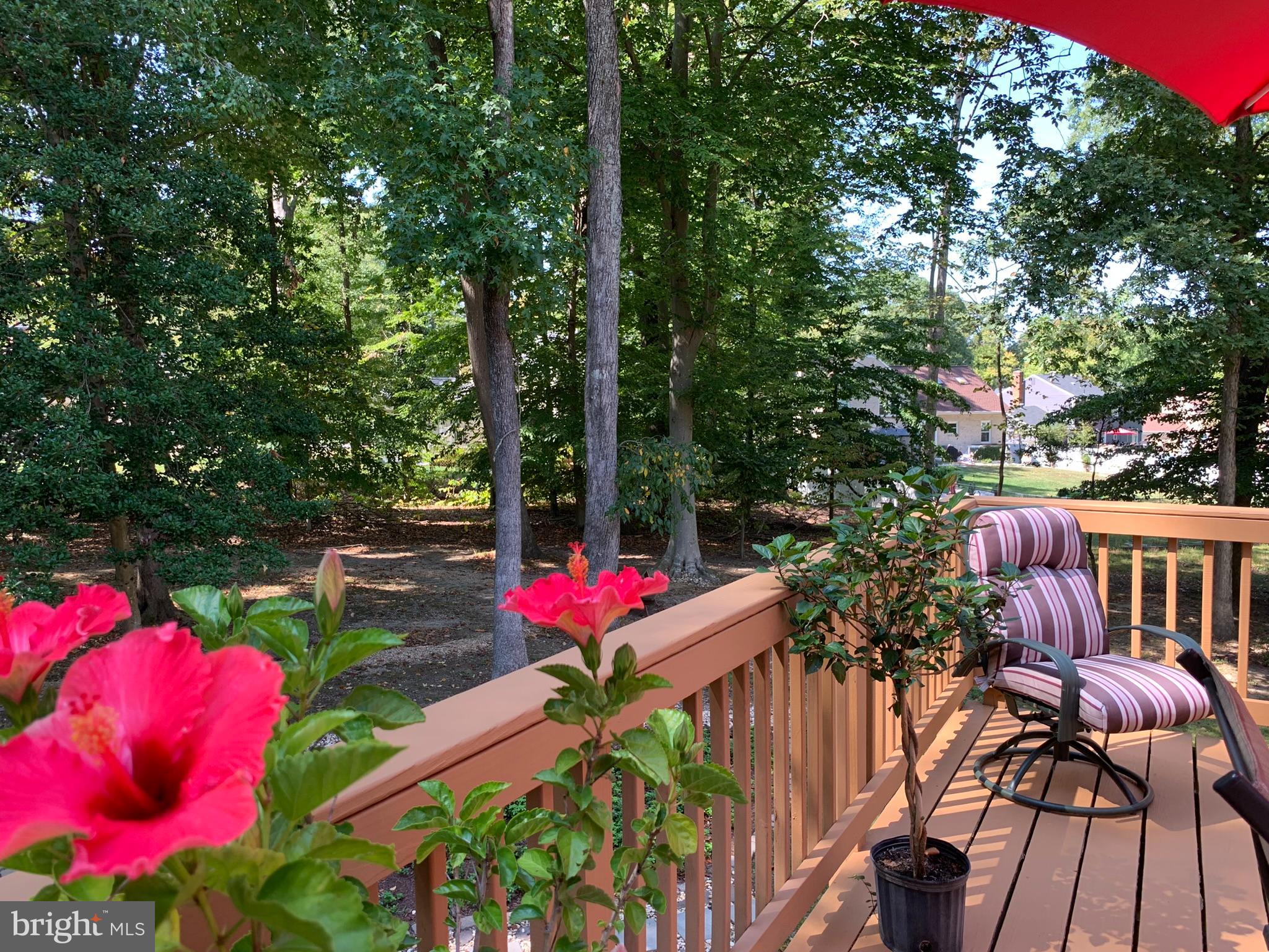 12805 DURNESS CIRCLE