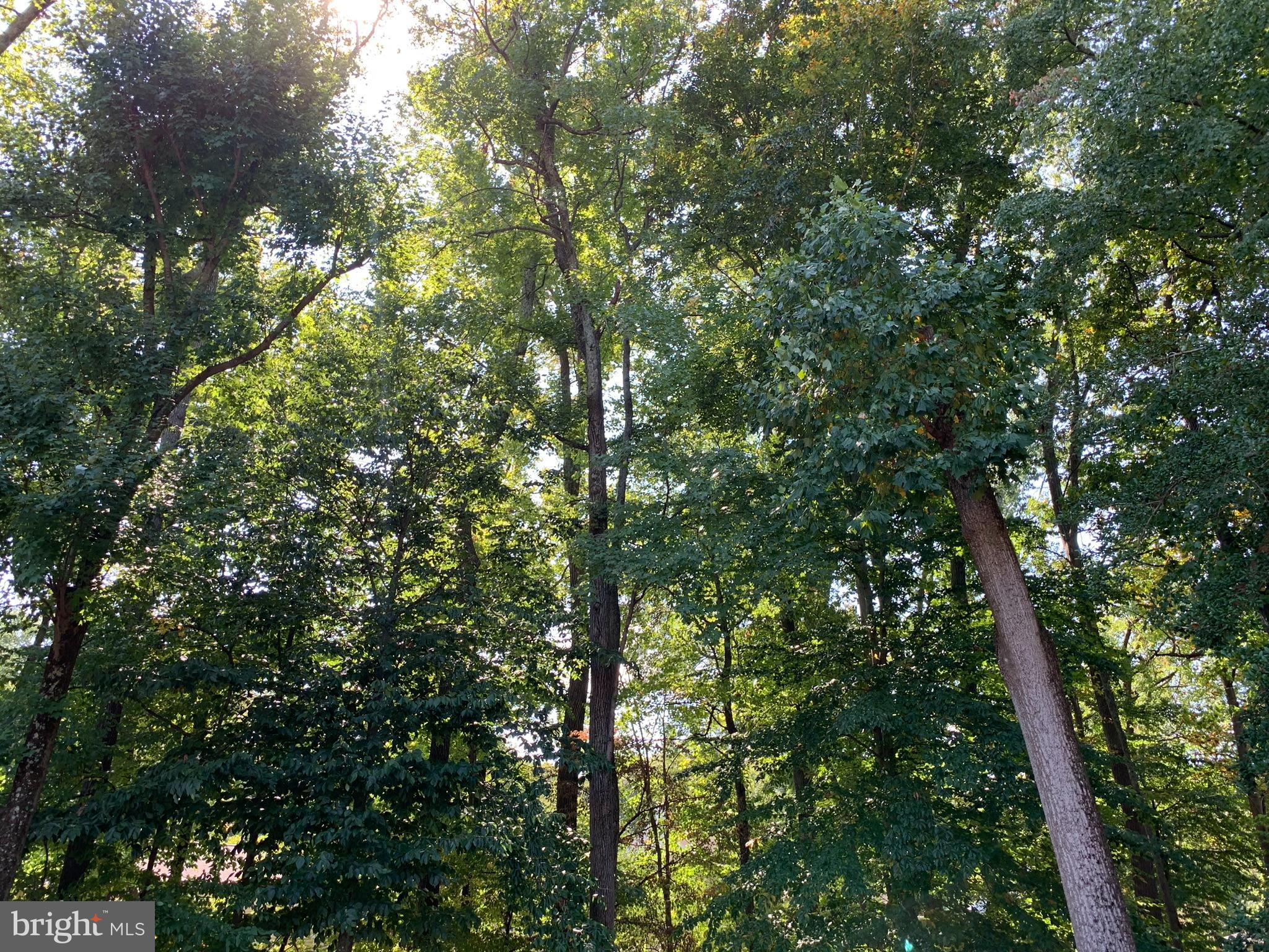 12805 DURNESS CIRCLE