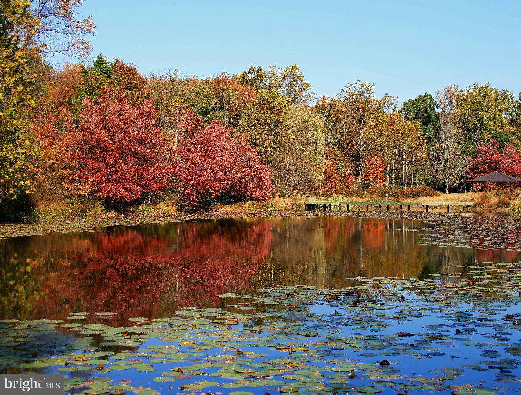 12805 DURNESS CIRCLE