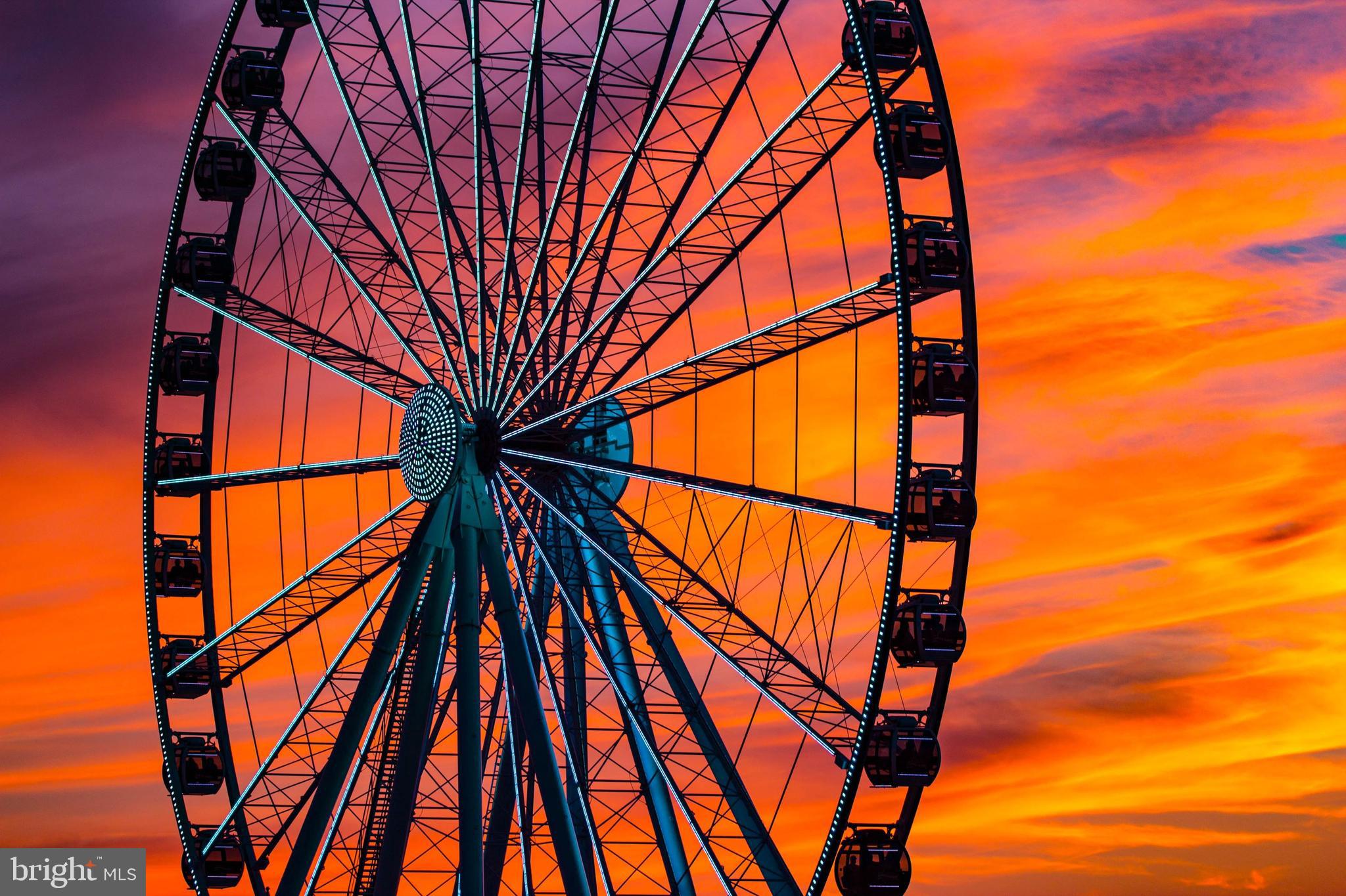 12805 DURNESS CIRCLE