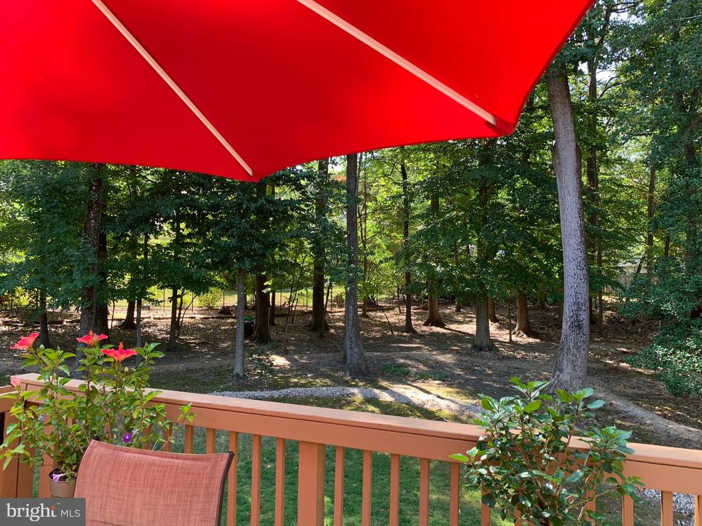 12805 DURNESS CIRCLE