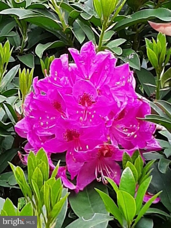 12805 DURNESS CIRCLE