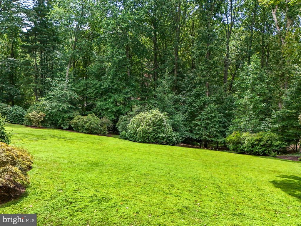 5404 Dranes Tavern Dr
