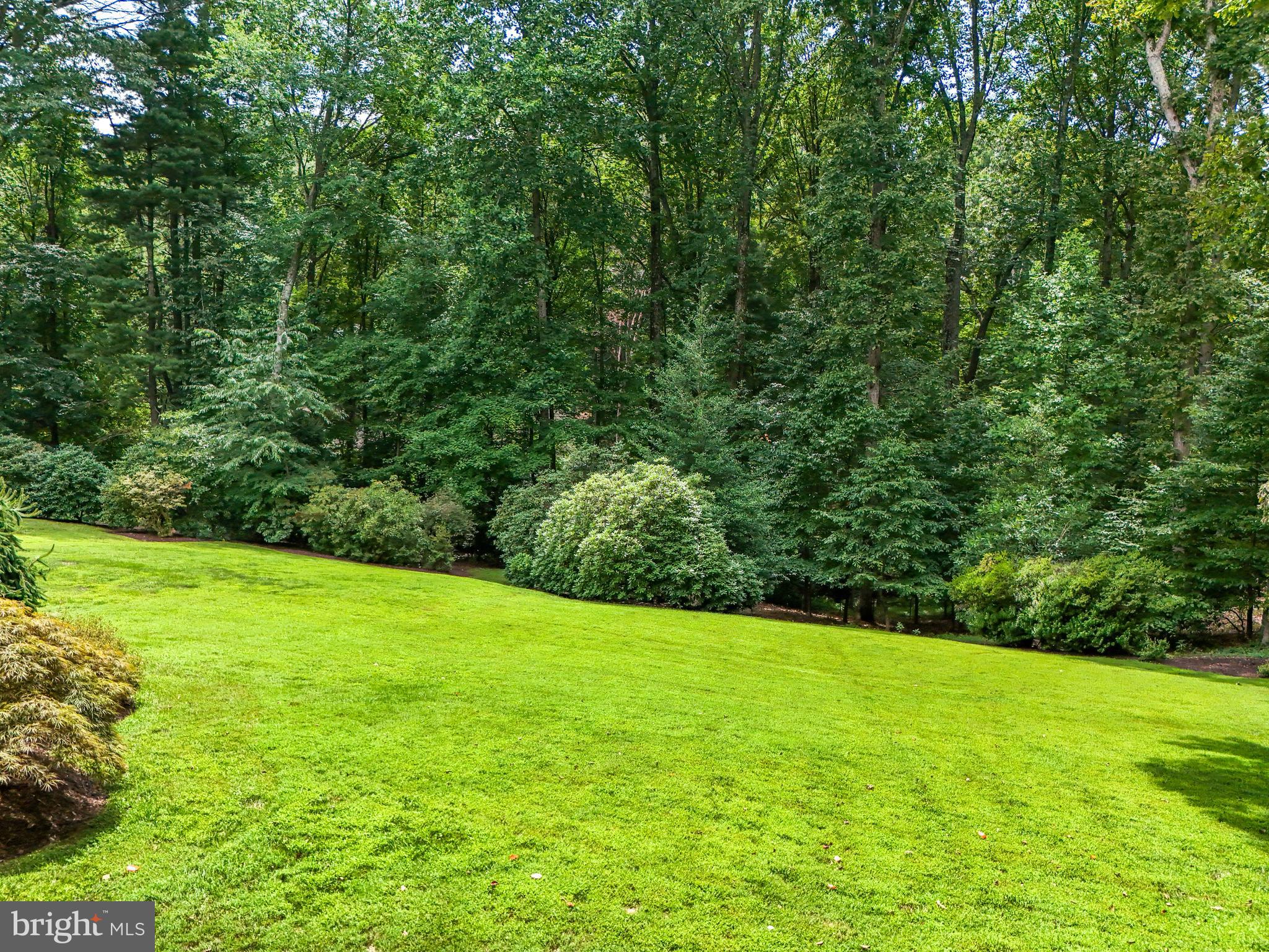 5404 Dranes Tavern Dr