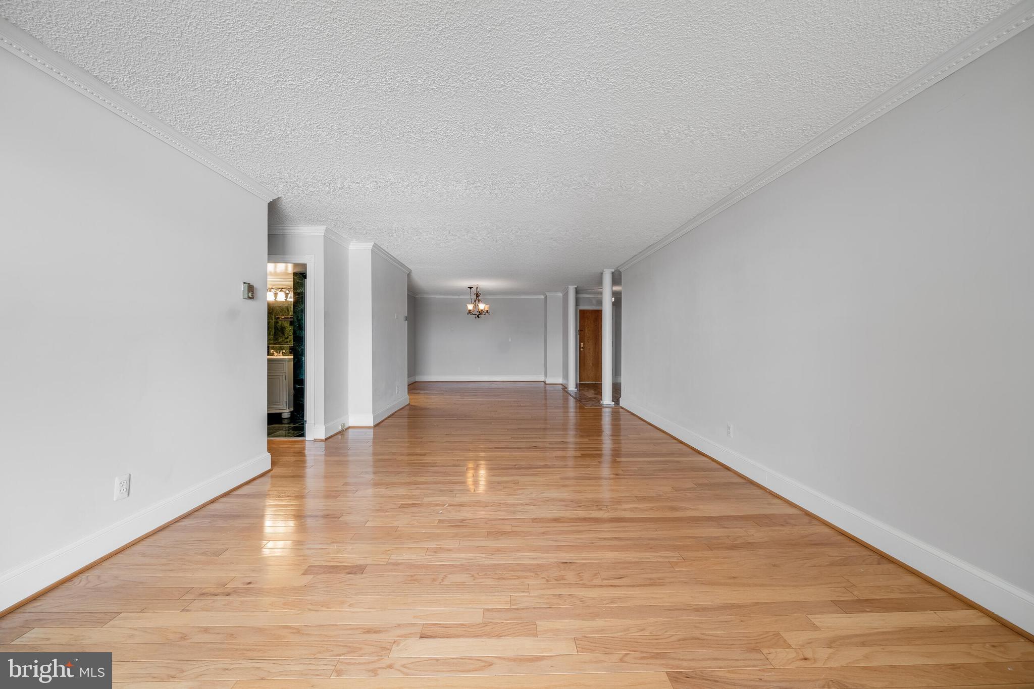 1800 OLD MEADOW RD #919