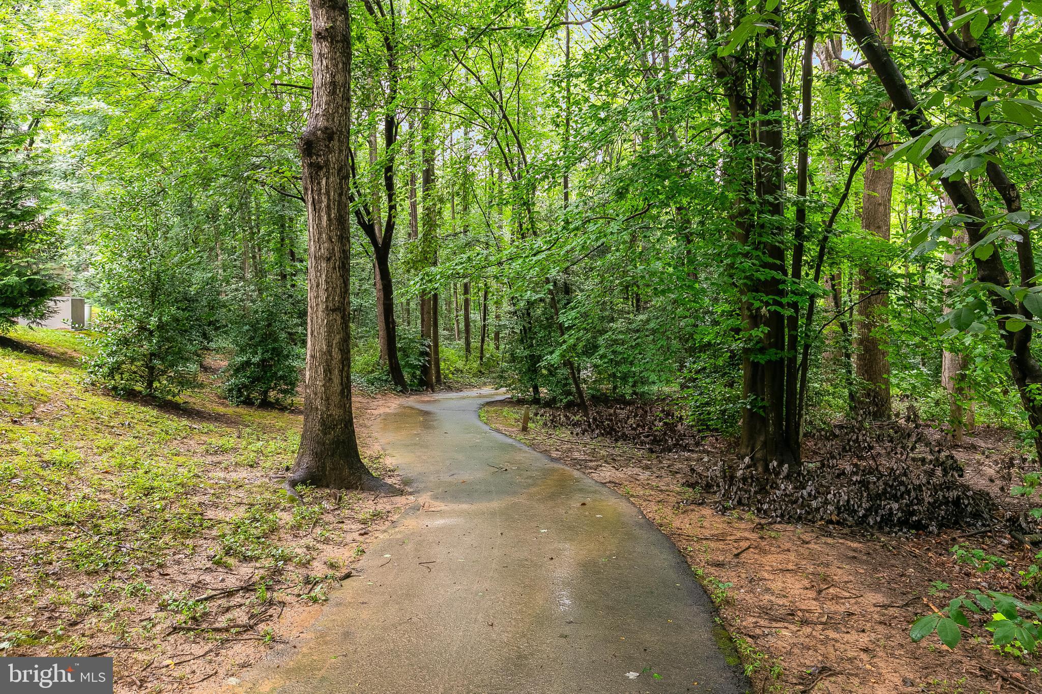 11426 SUMMER HOUSE CT