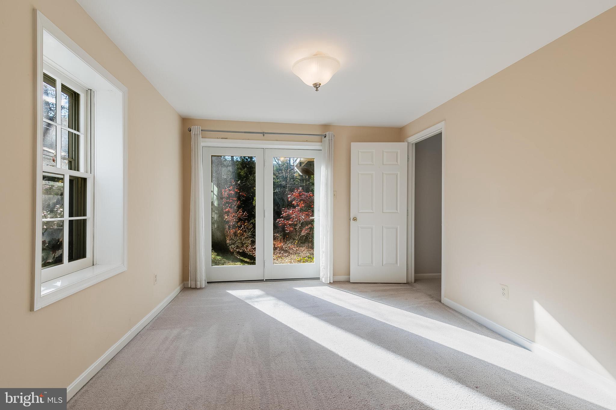 11620 OLD BROOKVILLE COURT