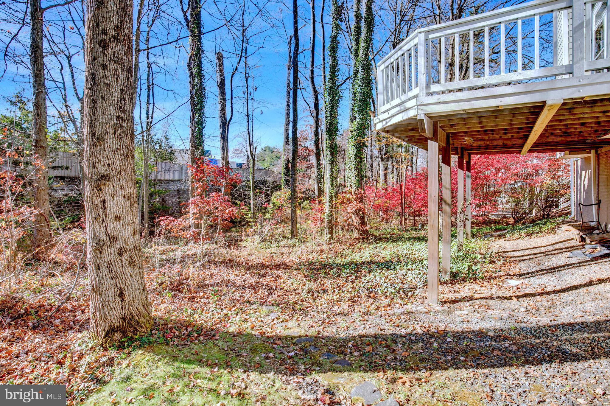 11620 OLD BROOKVILLE COURT