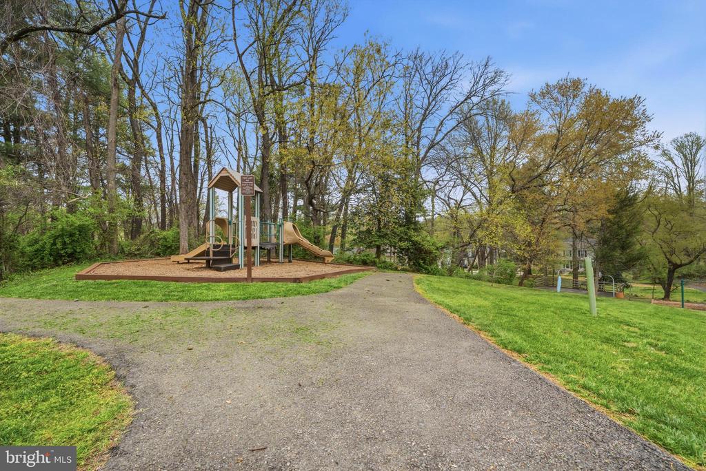 10058 CHESTNUT WOOD LANE