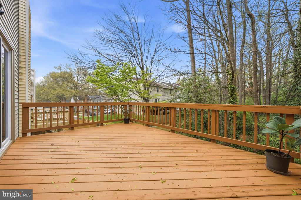 10058 CHESTNUT WOOD LANE