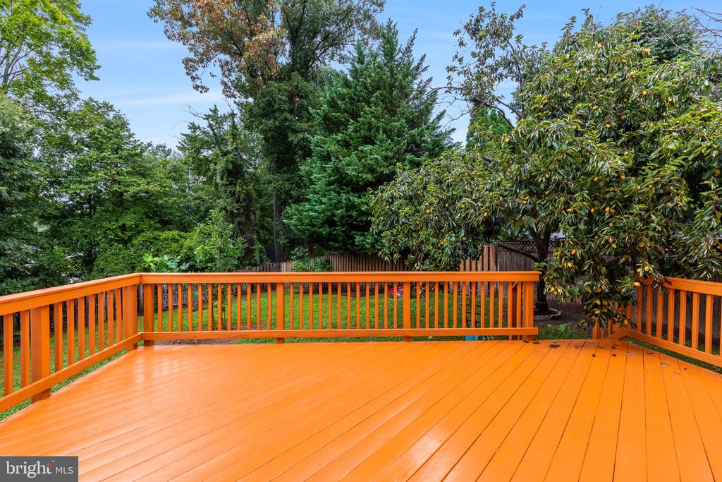 9410 ONION PATCH DRIVE