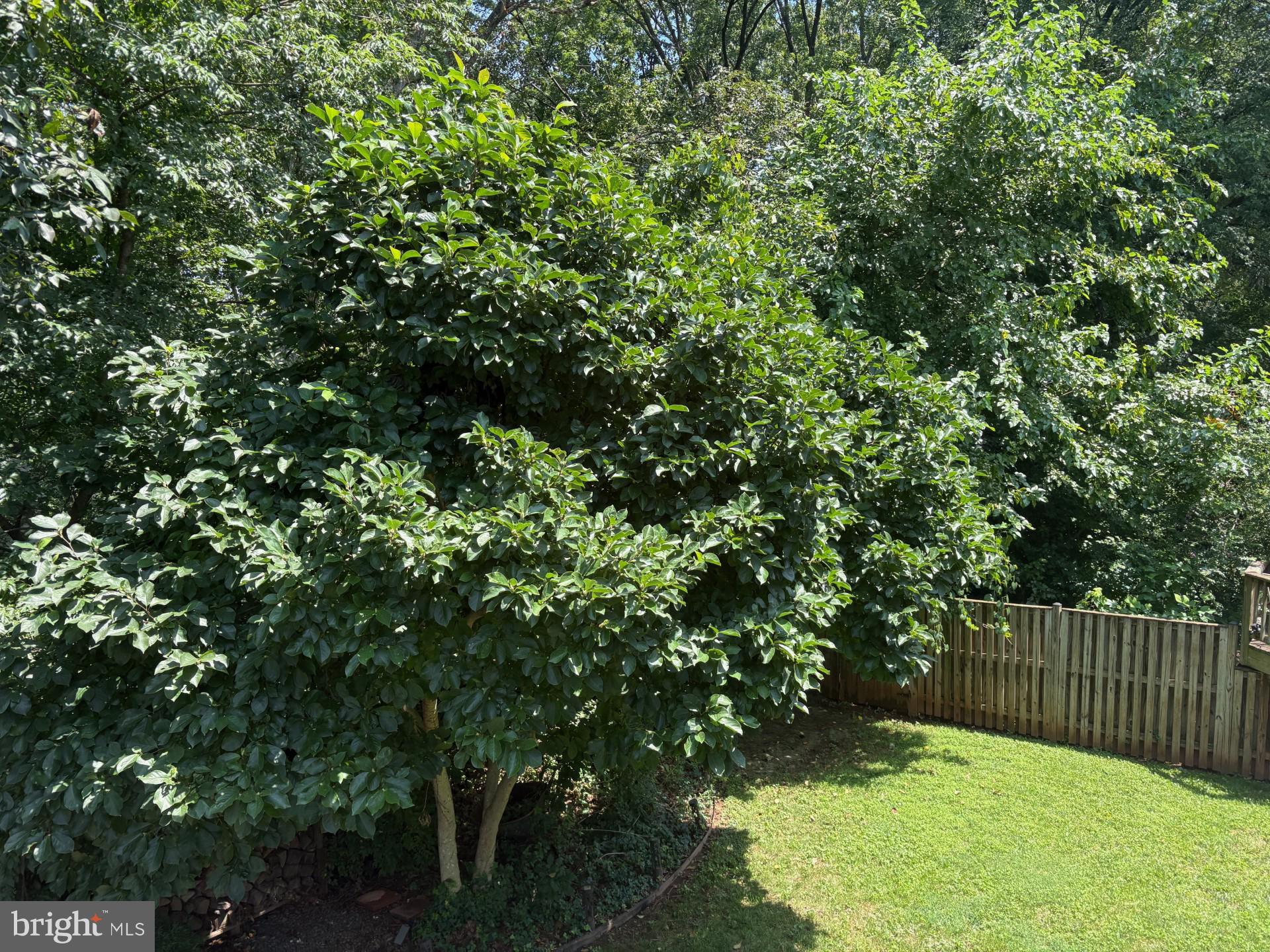 276 W MEADOWLAND LANE W