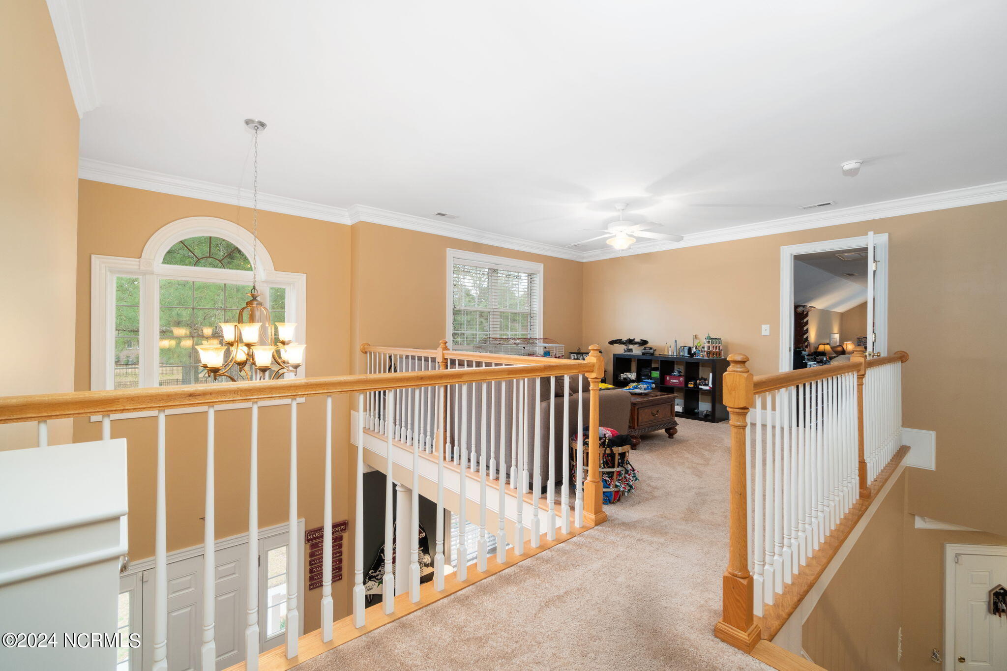 113 Emmen Road