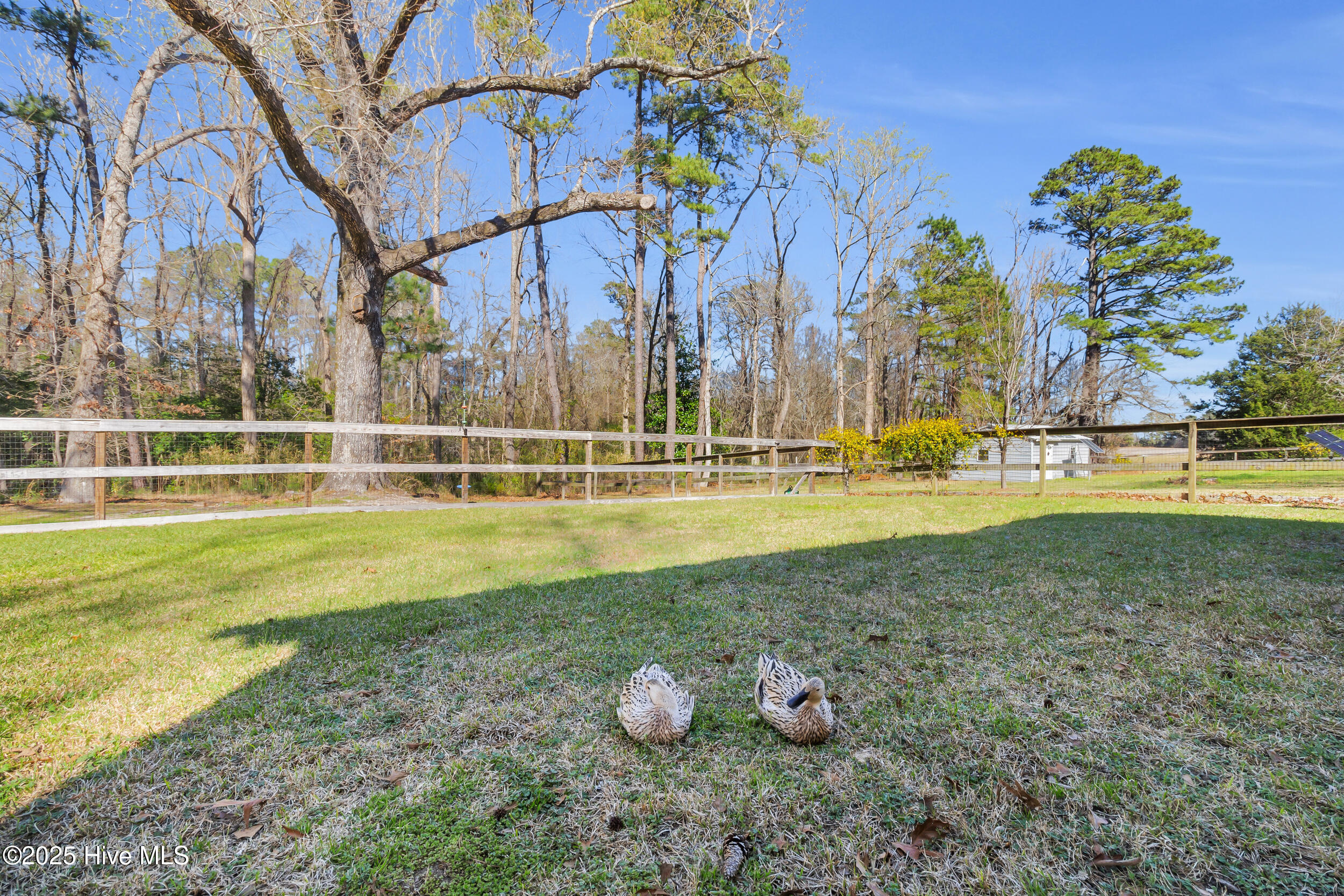 1216 Belgrade Swansboro Road