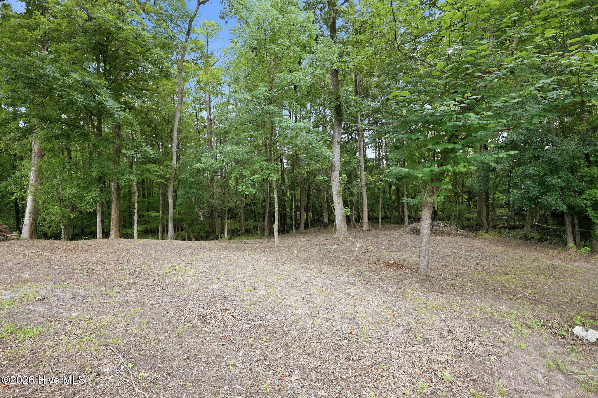 155 Tupelo Trail