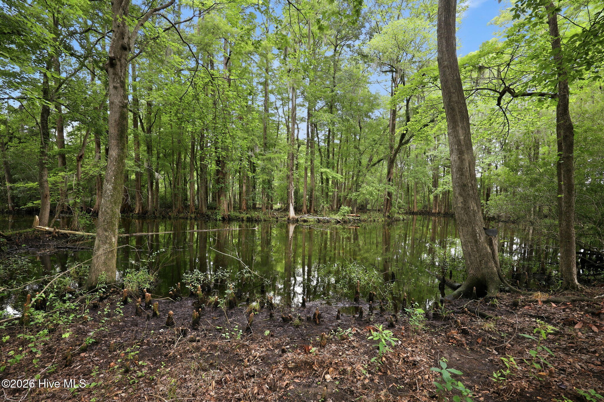 155 Tupelo Trail