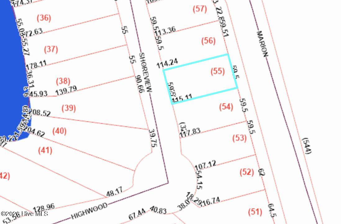 Parcel map with lot 55 outlined in cyan beside Shoreview Drive.