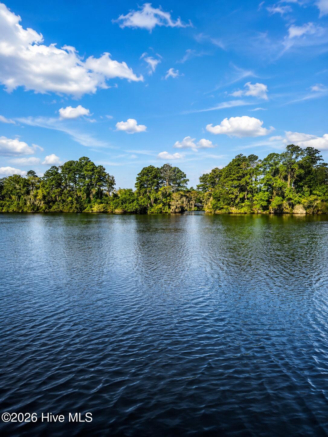 Waterfront view across rippling water toward a tree-lined shore beneath a bright, cloud-dotted sky.