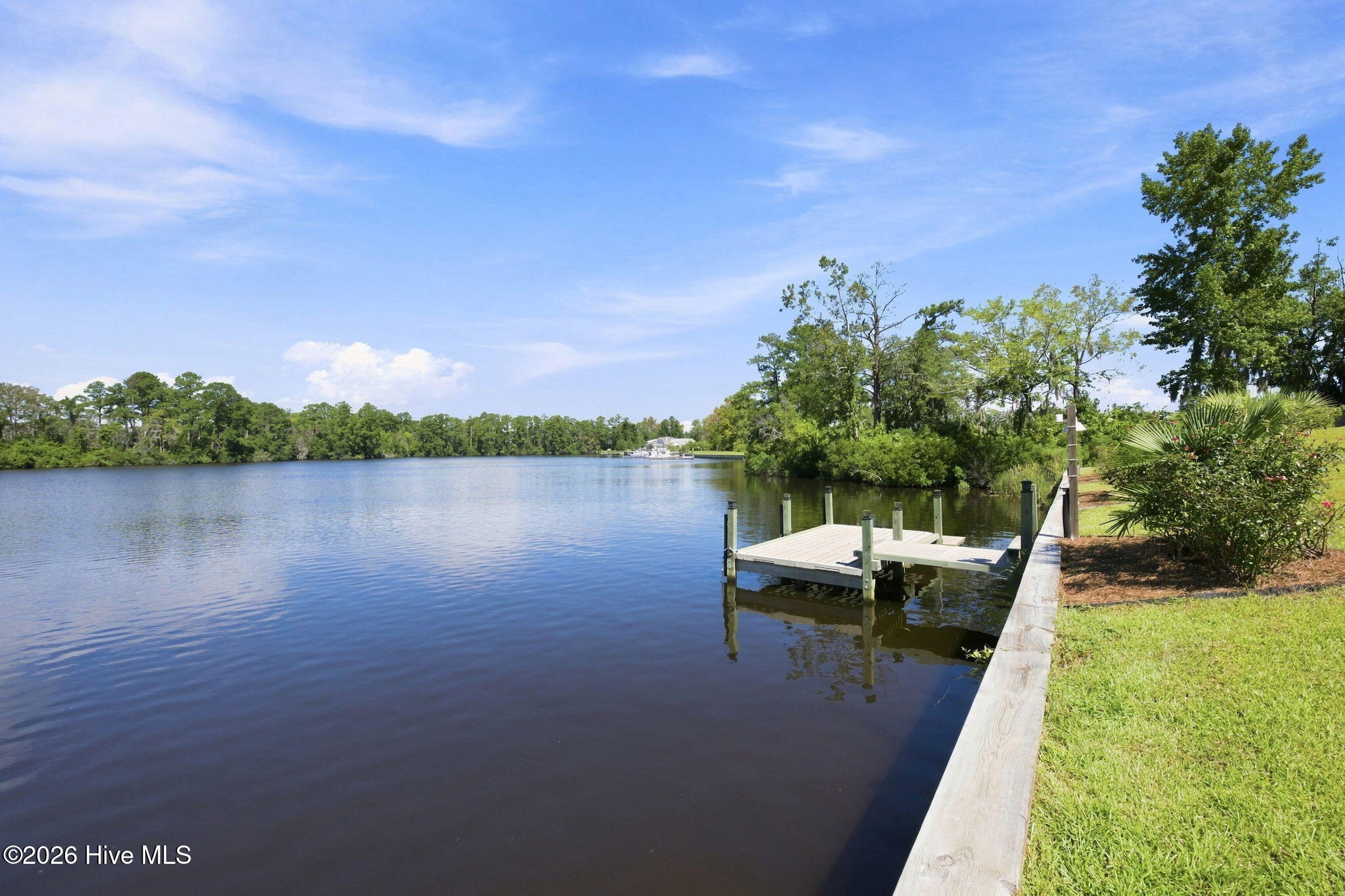 Wooden dock over calm water beside a grassy, tree-lined shore.