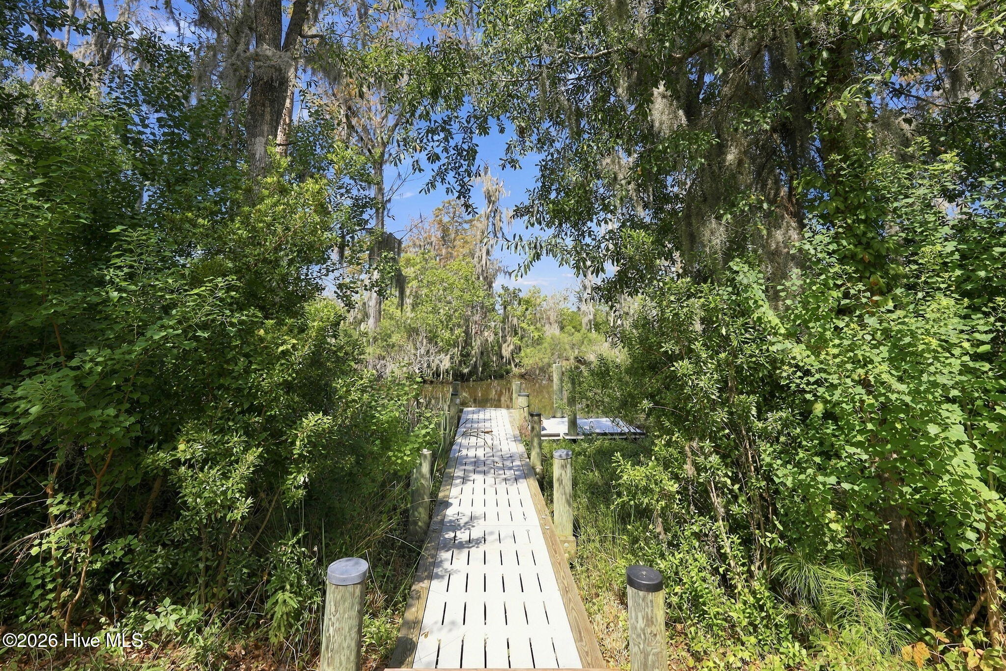 Wooden boardwalk dock reaches a creek through dense trees draped with Spanish moss.