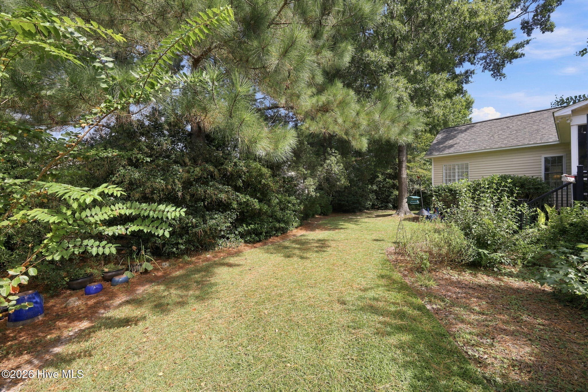 Backyard lawn bordered by dense greenery, with a large pine tree and the beige side of the house.