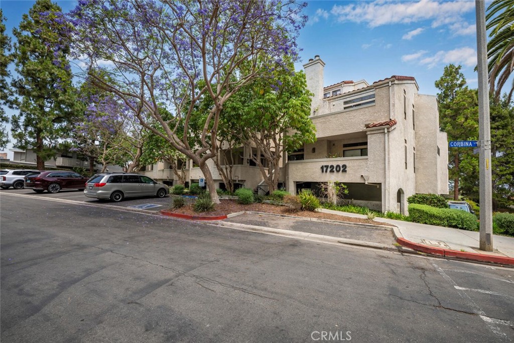 17202 Corbina Lane 206