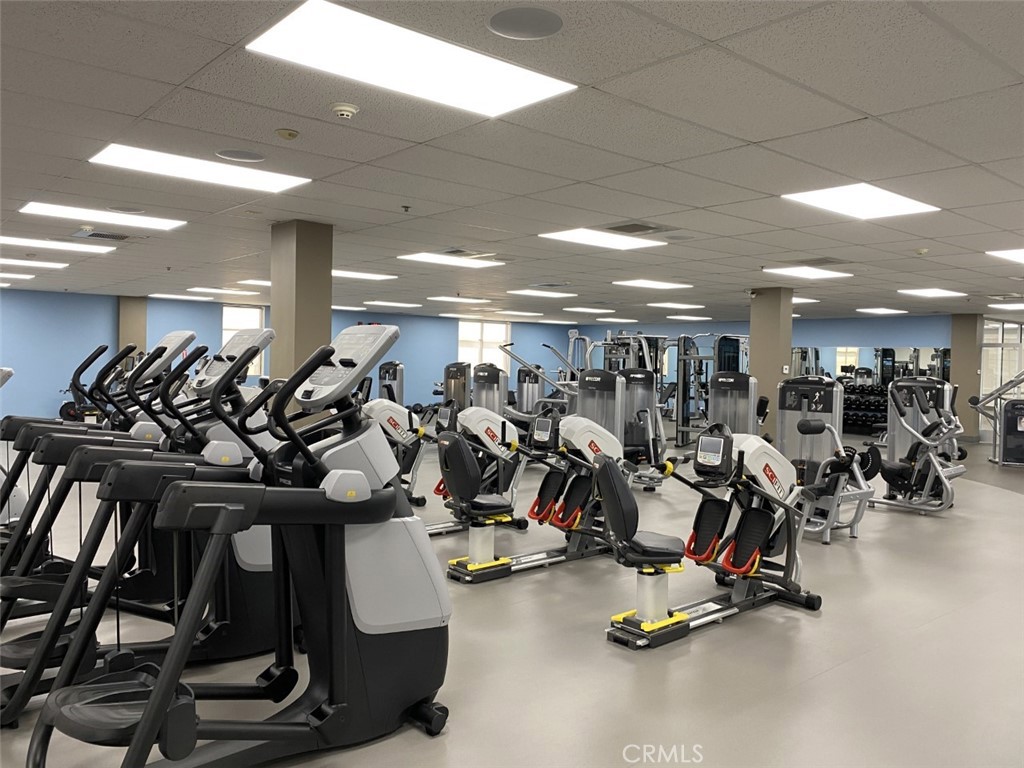 1241 Knollwood Rd, M4 46E