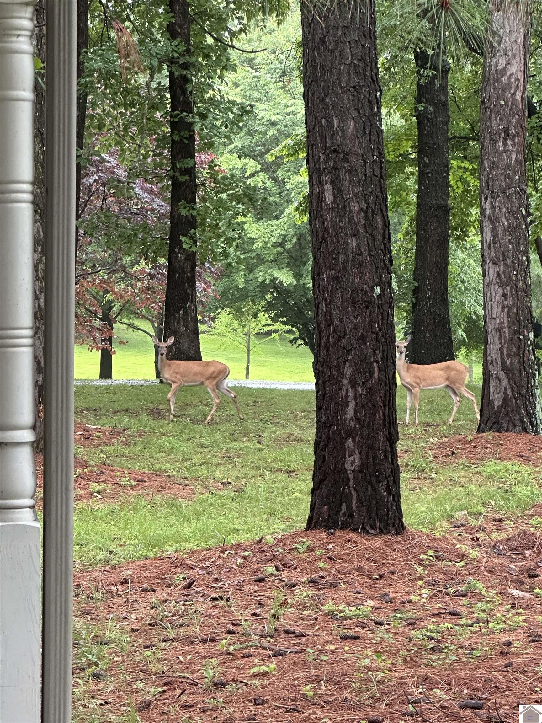 570 MASSAC CHURCH RD.