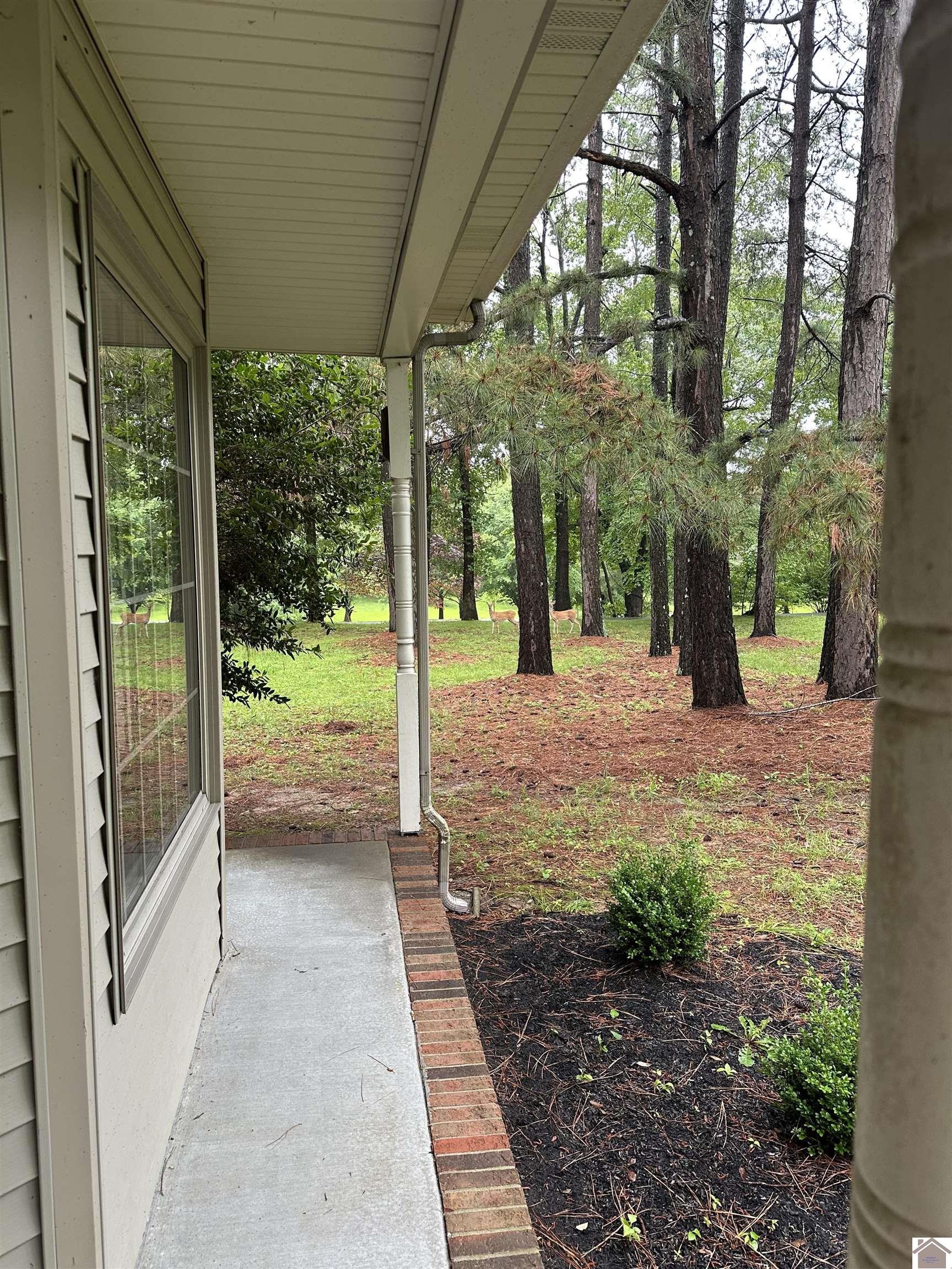 570 MASSAC CHURCH RD.