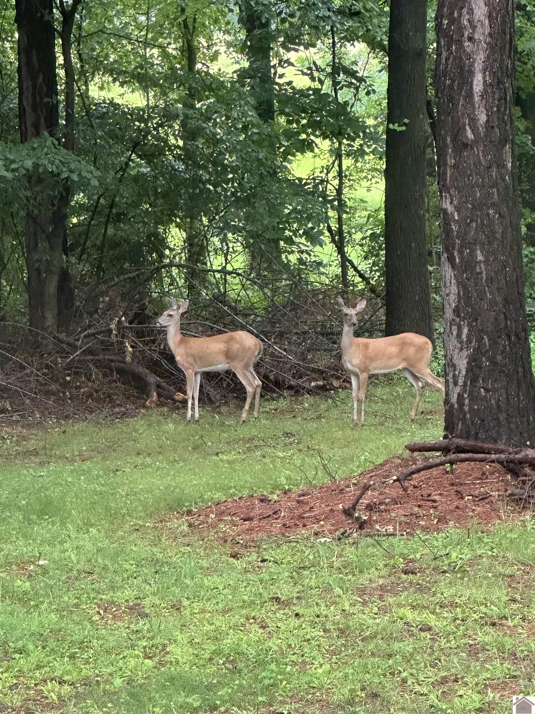 570 MASSAC CHURCH RD.