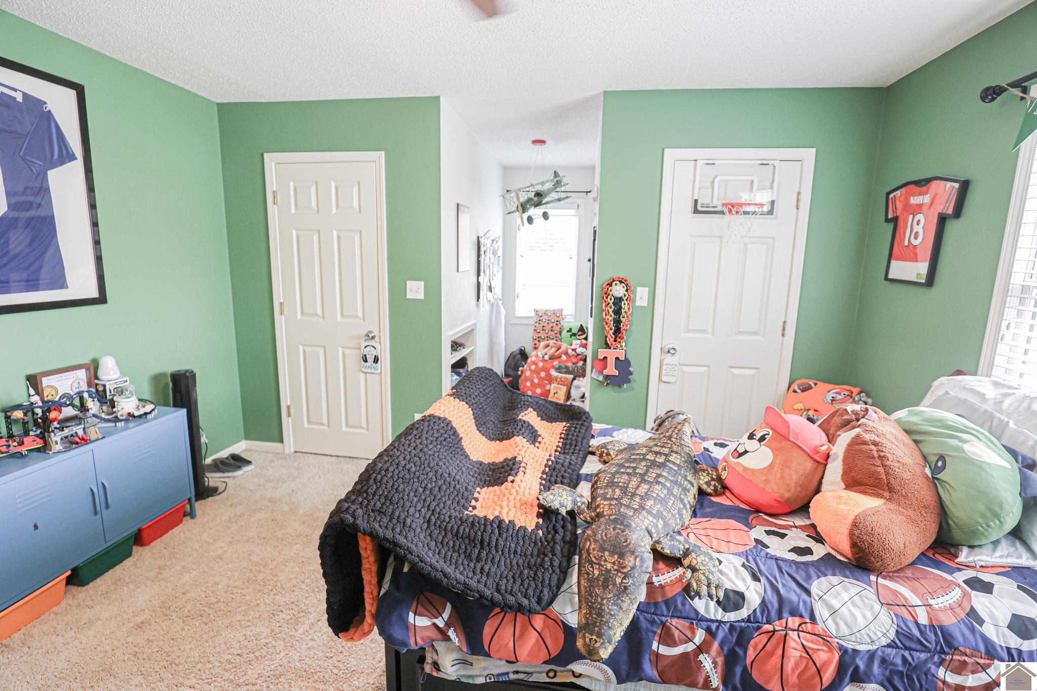 3410 Blue Ridge Drive