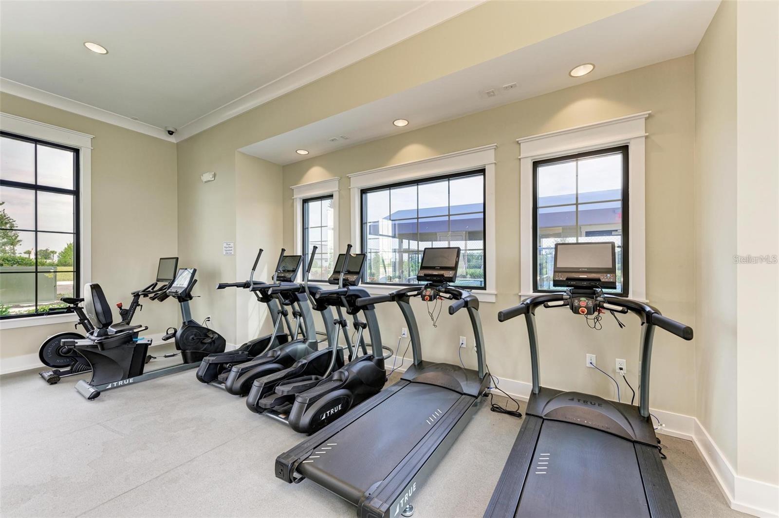 17241 SAVORY MIST CIR