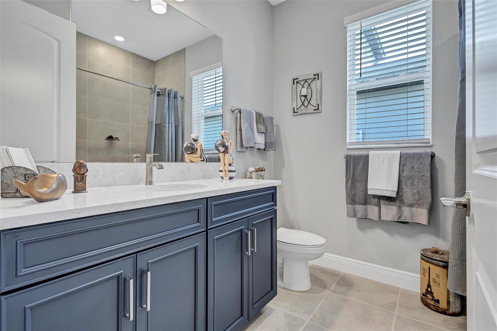 17241 SAVORY MIST CIR