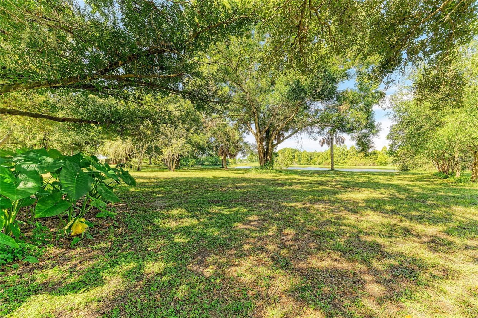6055 COUNTY ROAD 675