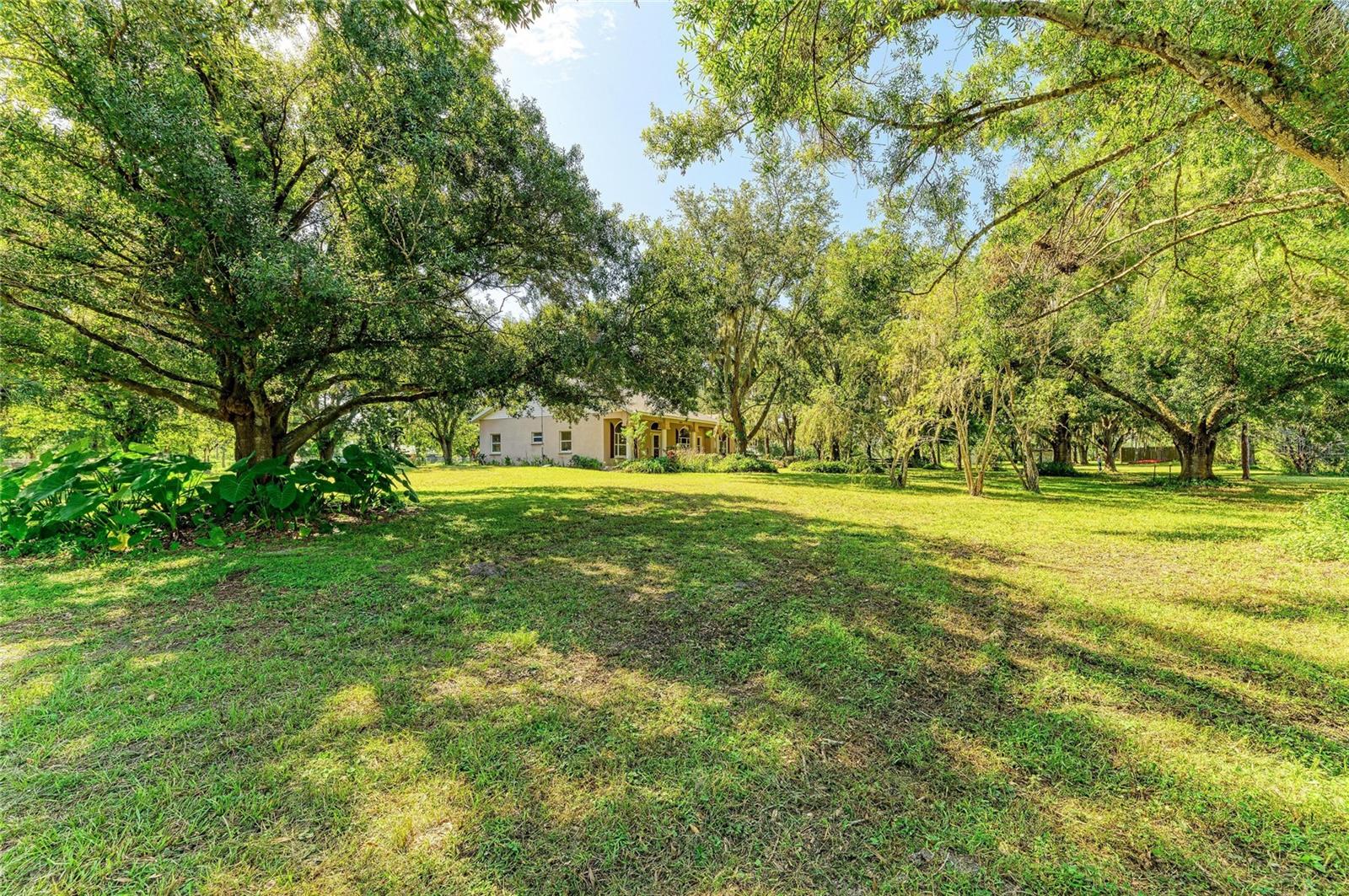 6055 COUNTY ROAD 675