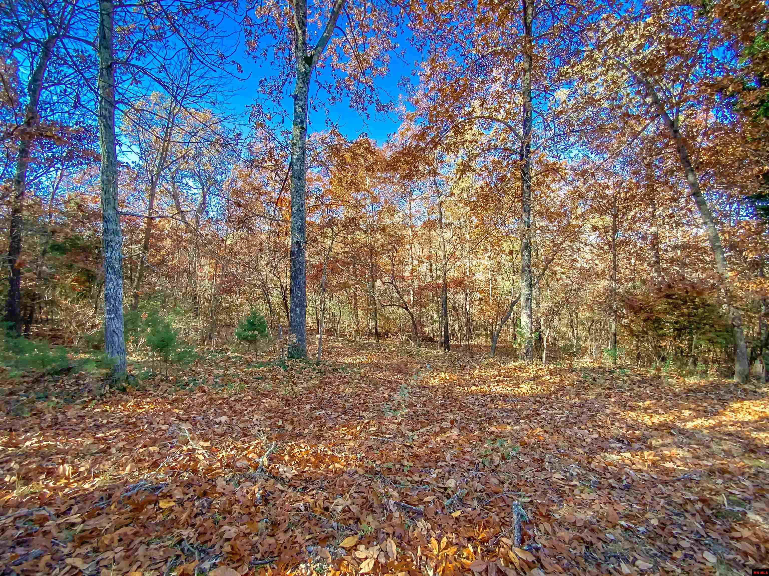 304 NORTHPOINTE DRIVE