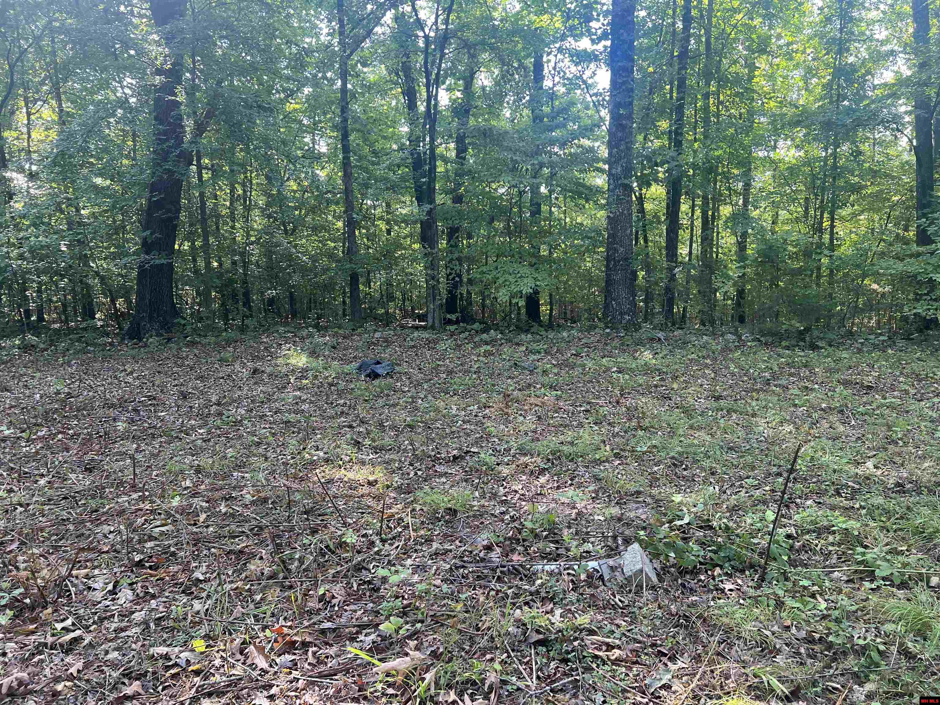 9689 HWY 62 EAST