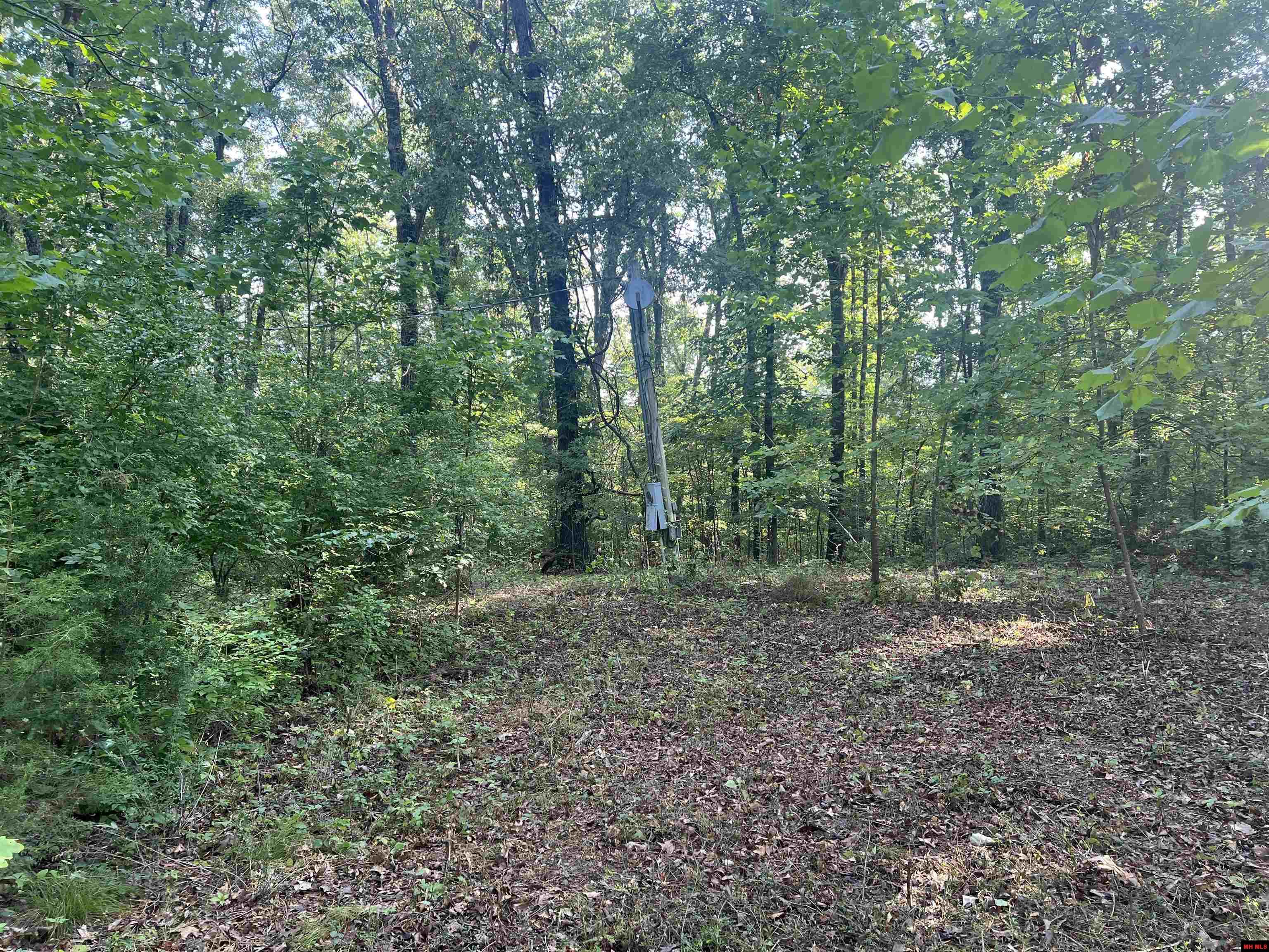 9689 HWY 62 EAST