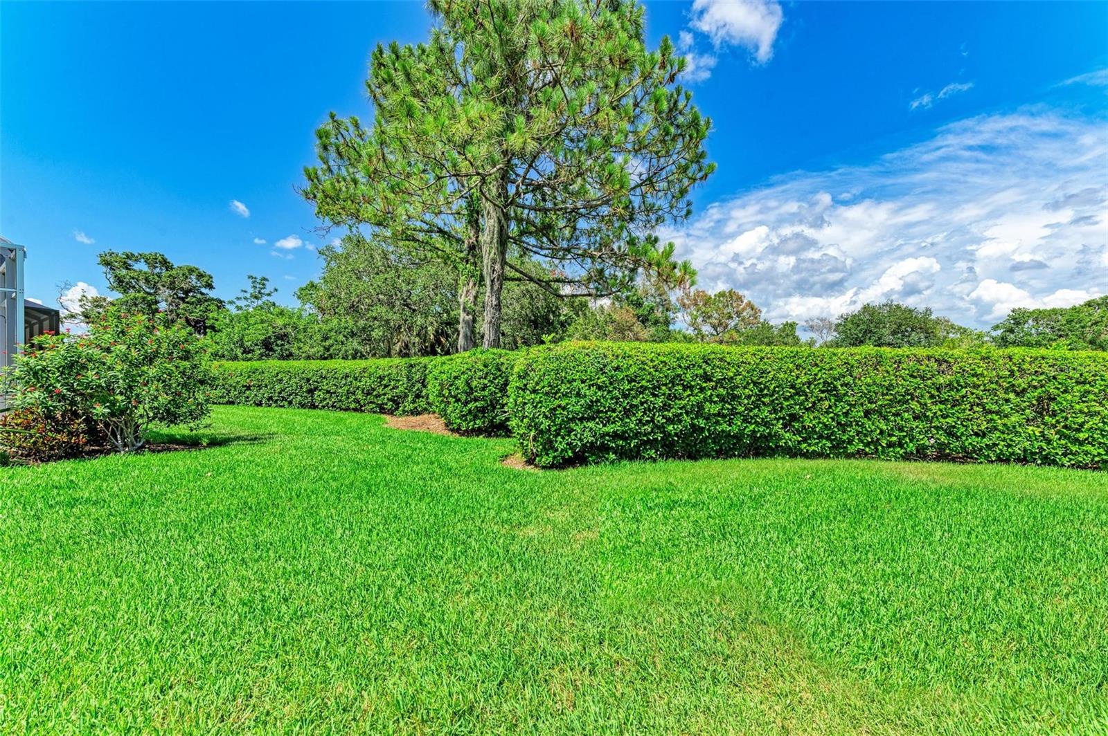 4397 CHASE OAKS DR