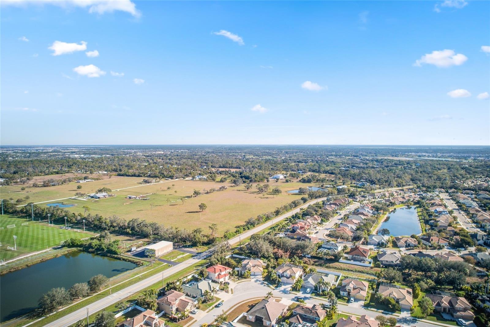 1346 WESTERN PINE CIR