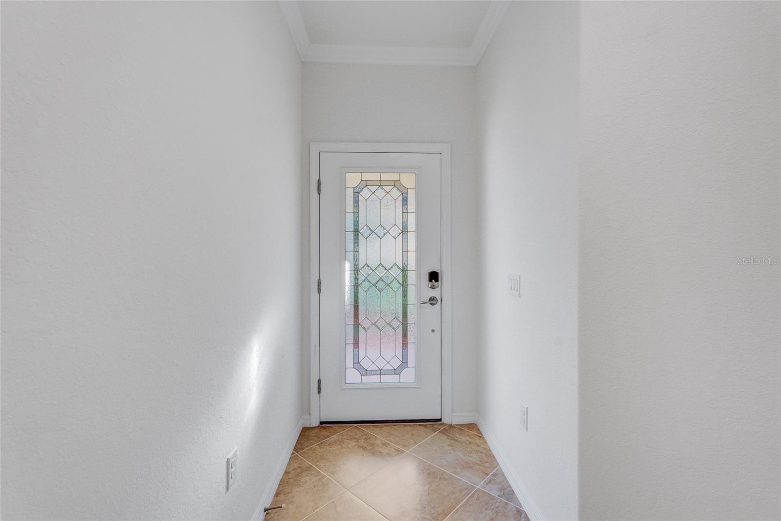 12091 AMICA LOOP