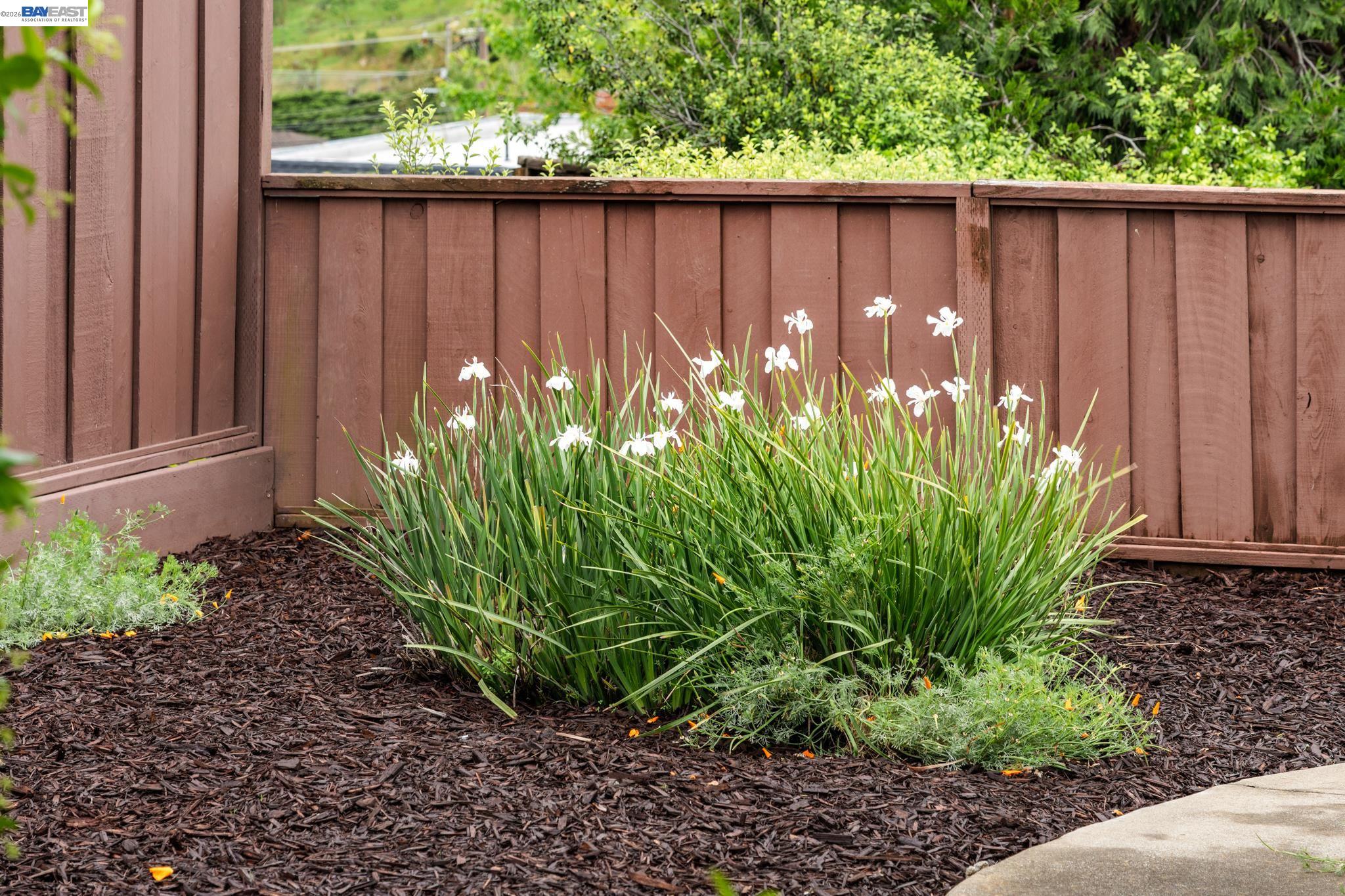 4473 Hillsborough Dr