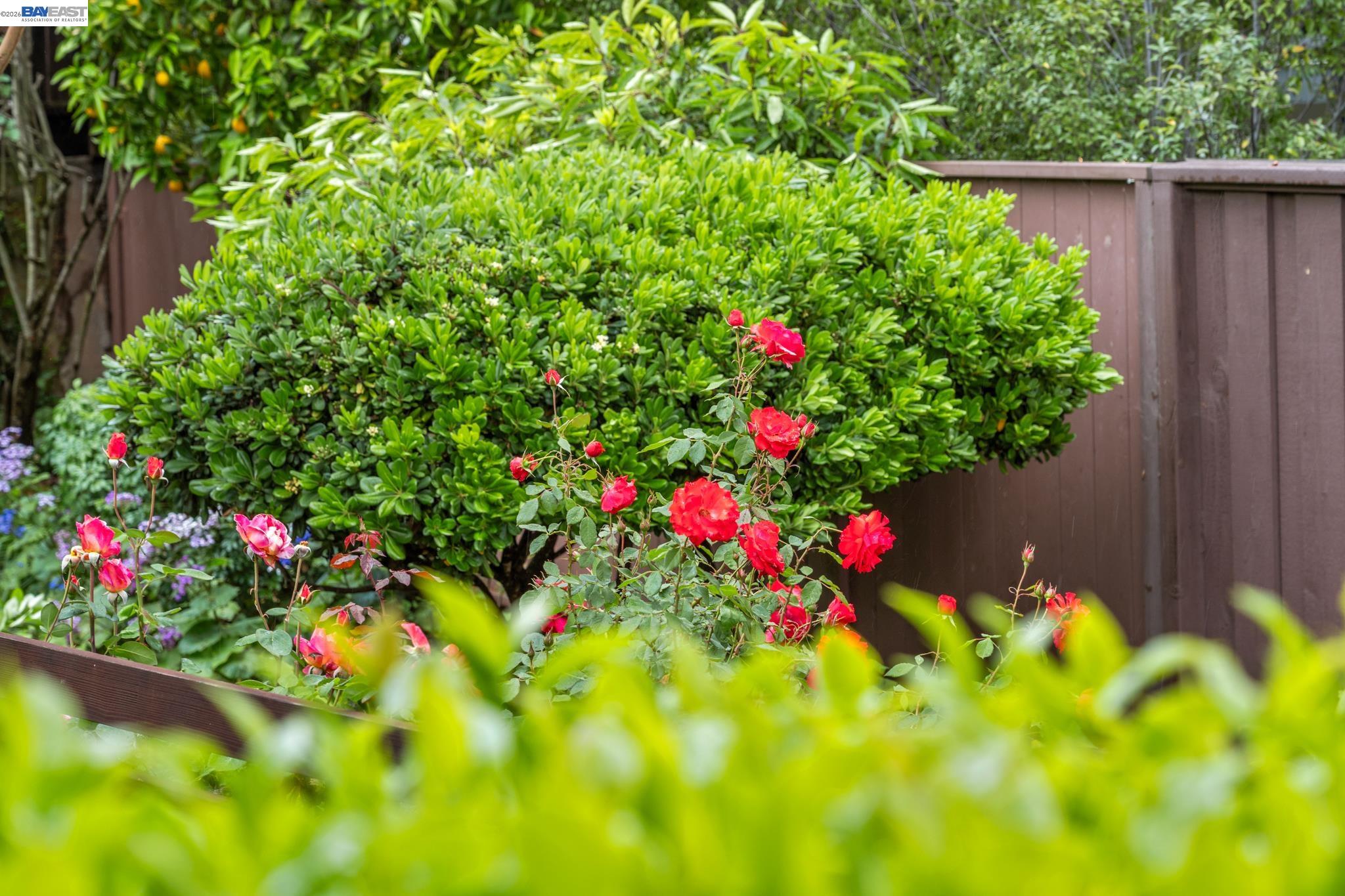 4473 Hillsborough Dr