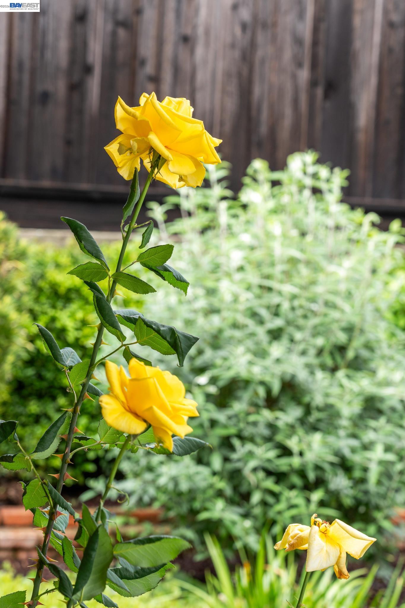 4473 Hillsborough Dr