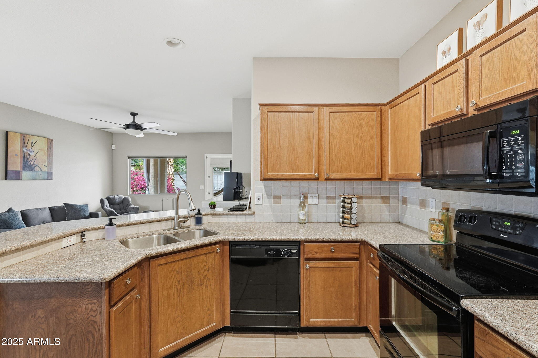 14624 W GELDING Drive