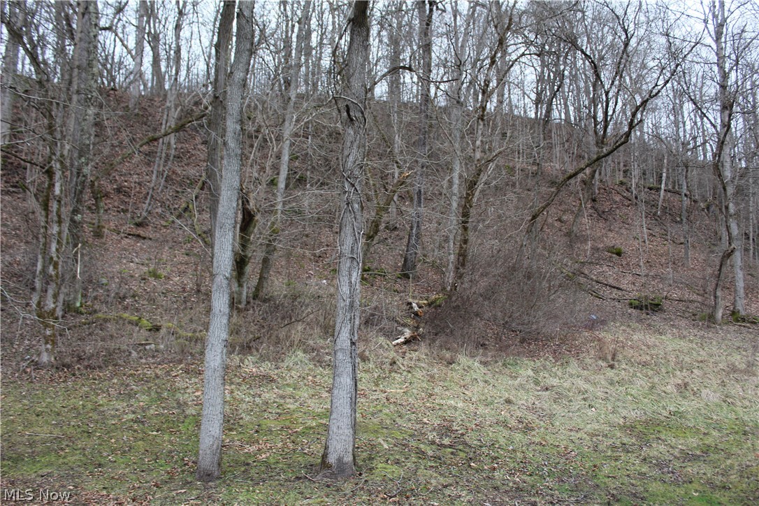 24352 Woodsfield