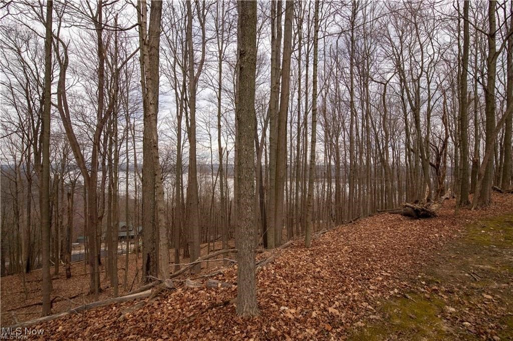 Lot 42 Briar Hill Estates