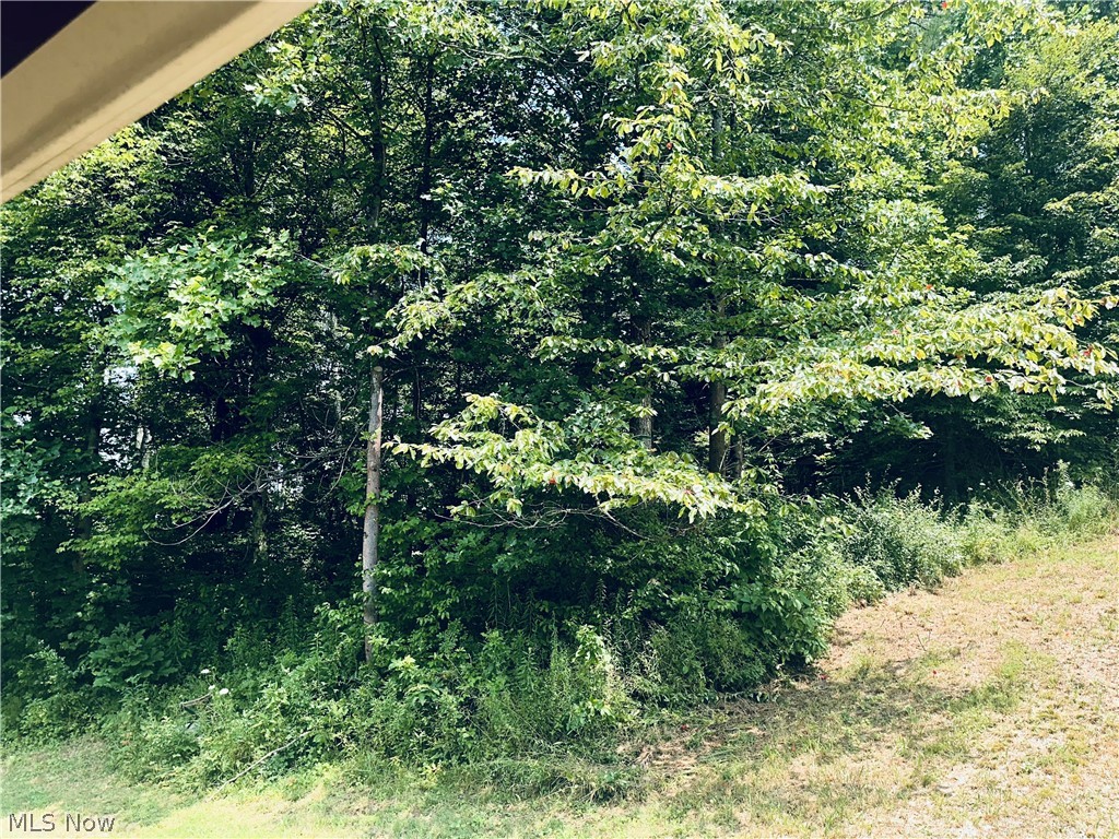 40682 Road Fork Road