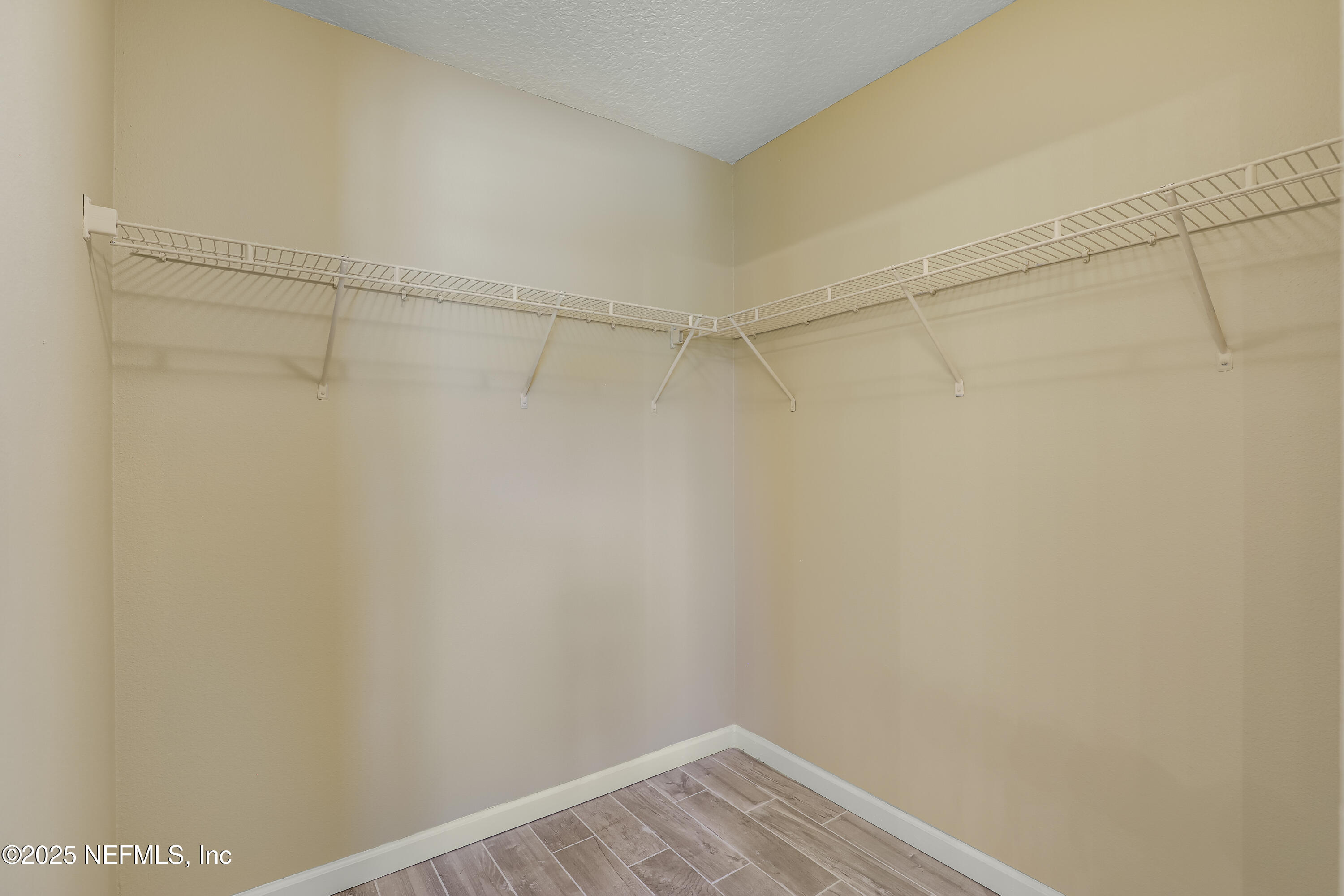 12314 MANGROVE FOREST Court